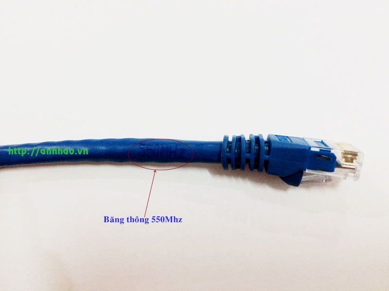 Dây nhảy cat6 30M Sinoamigo SN: 20213 lõi đồng (xanh)